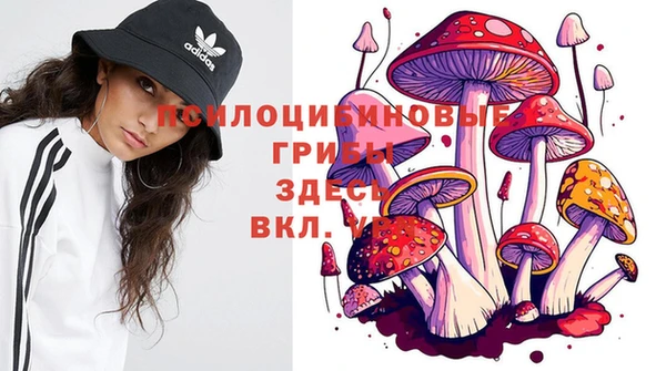 spice Арсеньев