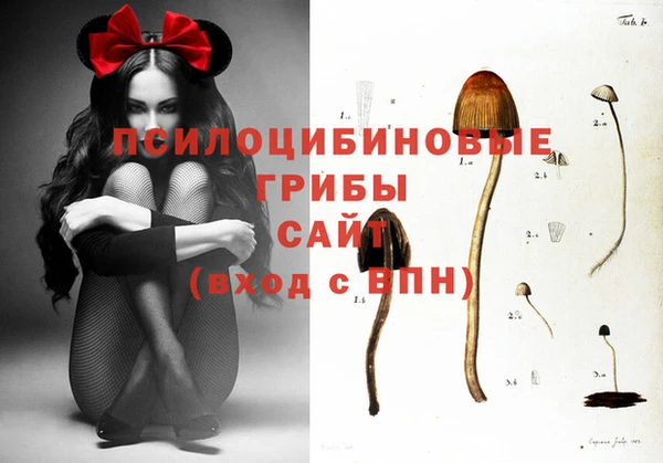 мескалин Балахна