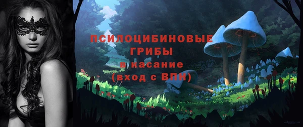 spice Арсеньев