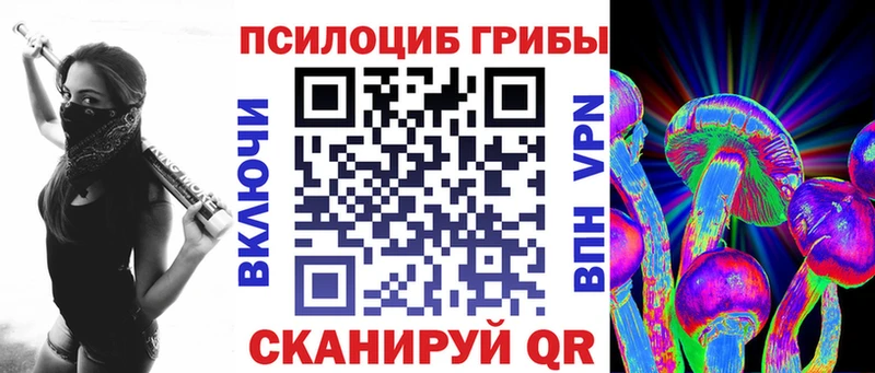 Псилоцибиновые грибы MAGIC MUSHROOMS  сайты даркнета Telegram  Кущёвская 